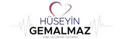 Doç. Dr. Hüseyin Gemalmaz